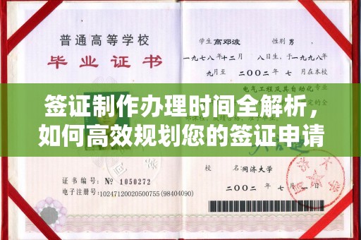 阳春签证制作办理时间全解析，如何高效规划您的签证申请流程