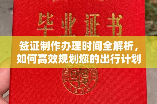 阳春签证制作办理时间全解析，如何高效规划您的出行计划