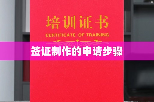 阳春签证制作的申请步骤