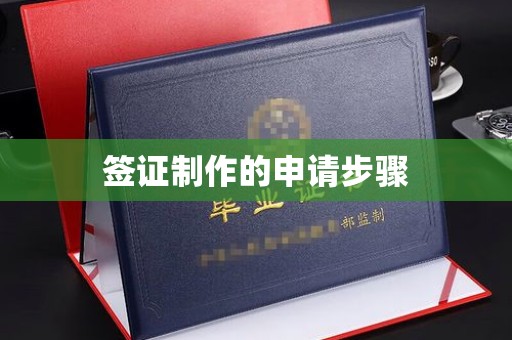 阳春签证制作的申请步骤