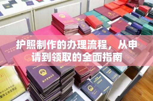 阳春护照制作的办理流程，从申请到领取的全面指南