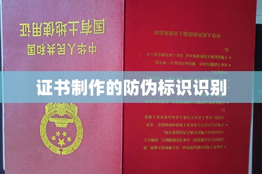 阳春证书制作的防伪标识识别