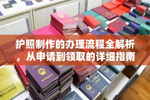 阳春护照制作的办理流程全解析，从申请到领取的详细指南