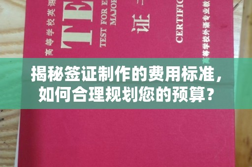 阳春揭秘签证制作的费用标准，如何合理规划您的预算？