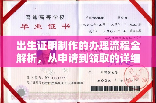 阳春出生证明制作的办理流程全解析，从申请到领取的详细指南