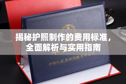 阳春揭秘护照制作的费用标准，全面解析与实用指南