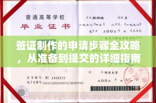 阳春签证制作的申请步骤全攻略，从准备到提交的详细指南
