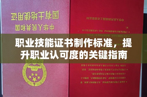 阳春职业技能证书制作标准，提升职业认可度的关键指南