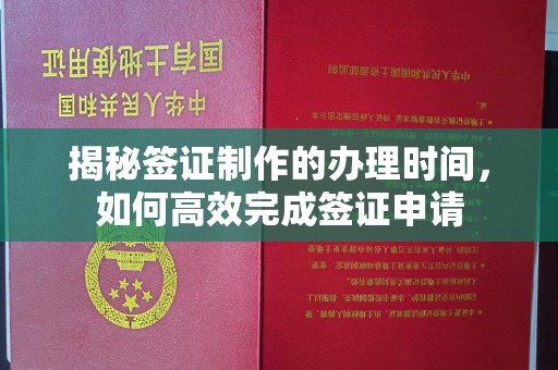 阳春揭秘签证制作的办理时间，如何高效完成签证申请