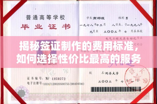 阳春揭秘签证制作的费用标准，如何选择性价比最高的服务？