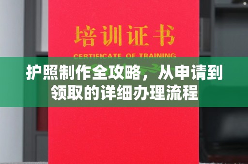 阳春护照制作全攻略，从申请到领取的详细办理流程